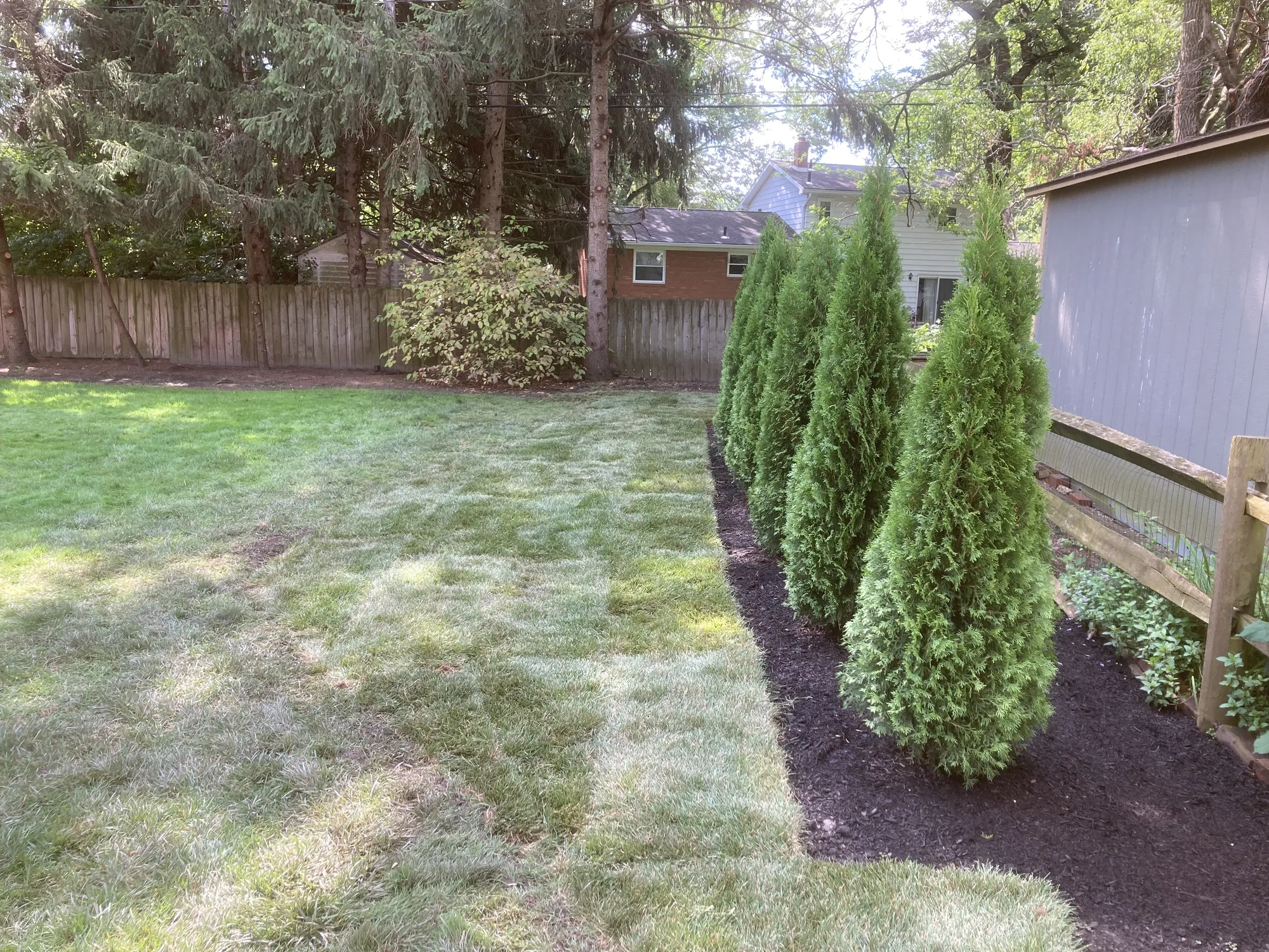 Fresh black mulch and finished landscape bed enhancement by Kerekes Landscape in Sylvania and Toledo
